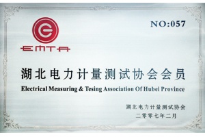 湖北电力计量测试协会会员